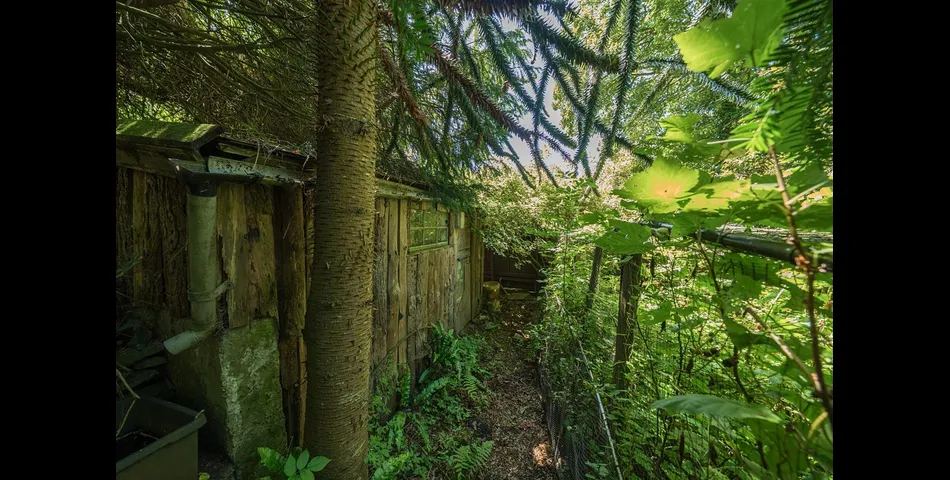Ye Olde Cottage - Barbrook, Lynton
