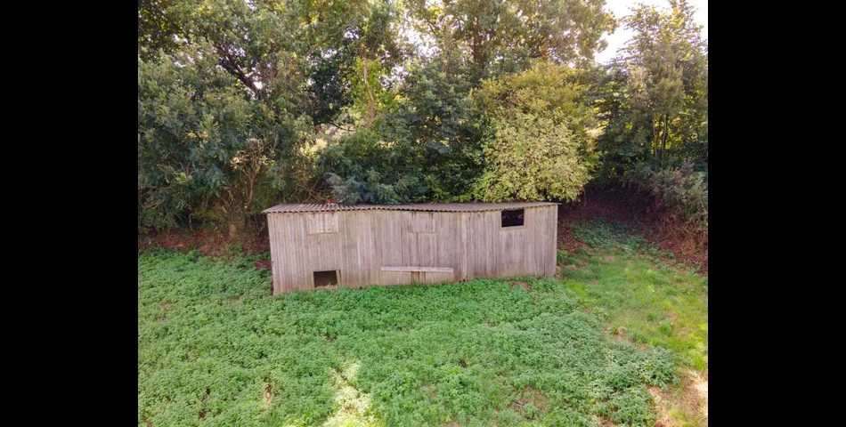 Little Acre, West of Guernsey Corner - Colyton