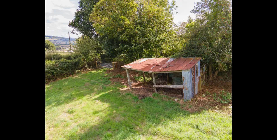 Little Acre, West of Guernsey Corner - Colyton