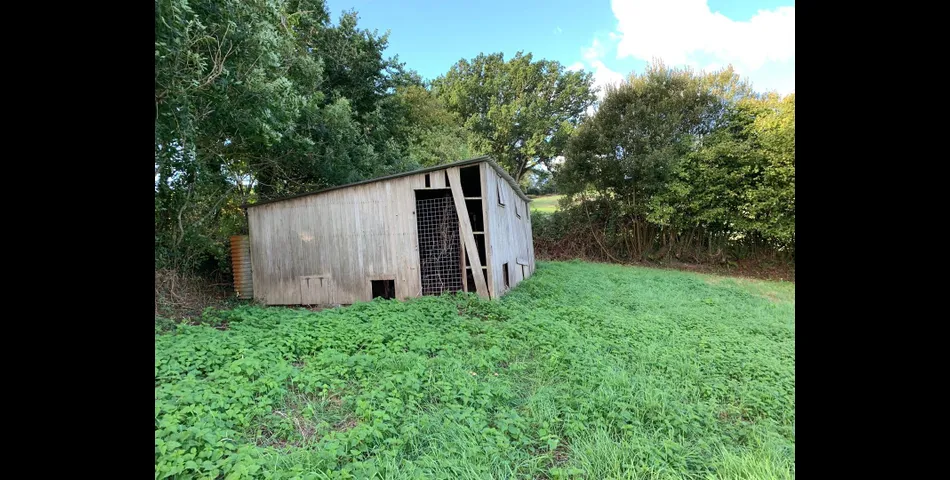 Little Acre, West of Guernsey Corner - Colyton