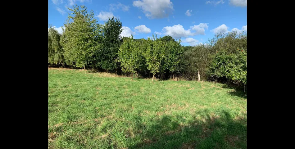 Little Acre, West of Guernsey Corner - Colyton