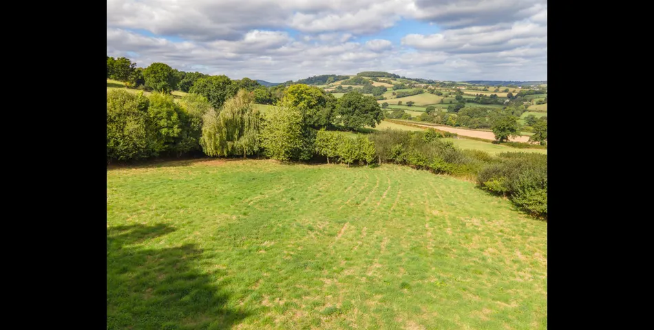 Little Acre, West of Guernsey Corner - Colyton