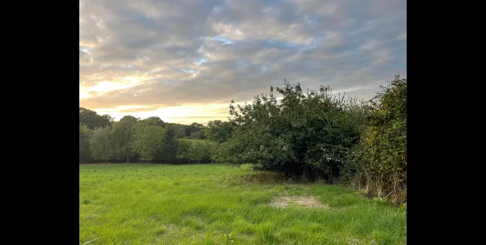 Little Acre, West of Guernsey Corner - Colyton