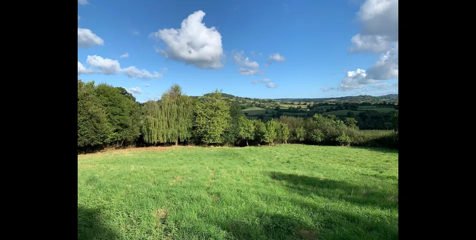 Little Acre, West of Guernsey Corner - Colyton