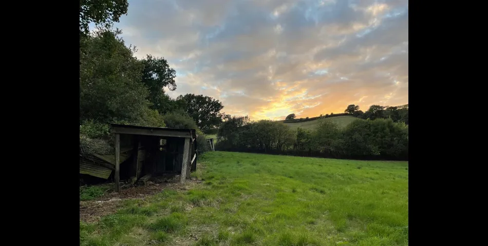 Little Acre, West of Guernsey Corner - Colyton