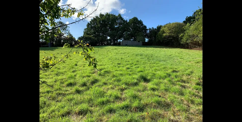 Little Acre, West of Guernsey Corner - Colyton