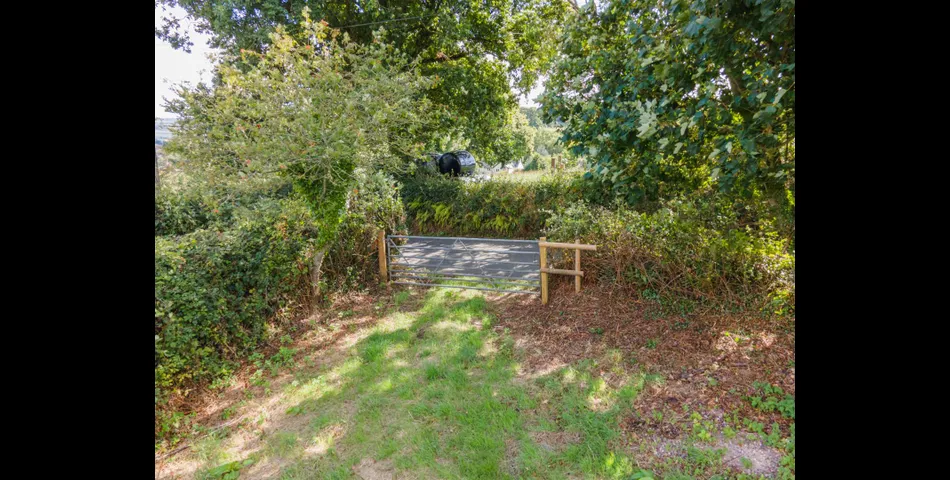 Little Acre, West of Guernsey Corner - Colyton