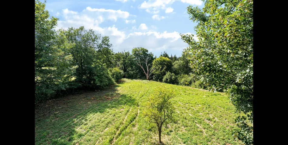 Land & Buildings at Paye Farm - Churchstanton
