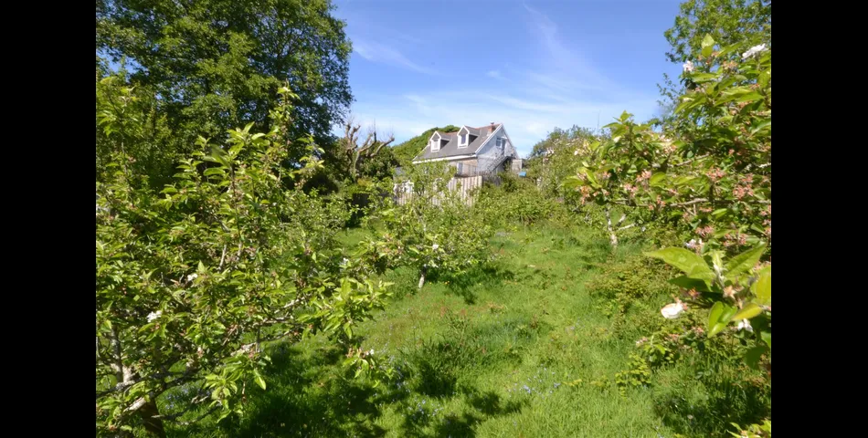 Chapel Hill Farmhouse - Nr Camborne
