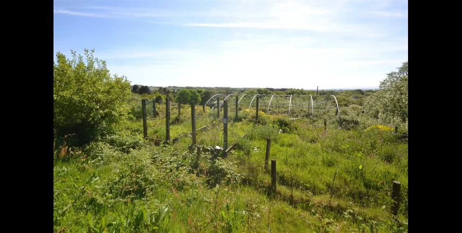 Chapel Hill Farmhouse - Nr Camborne