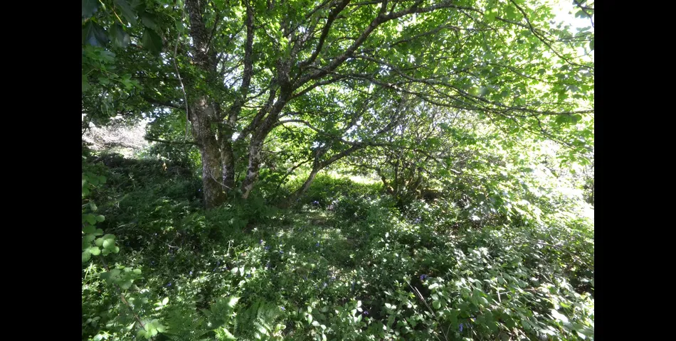Chapel Hill Farmhouse - Nr Camborne