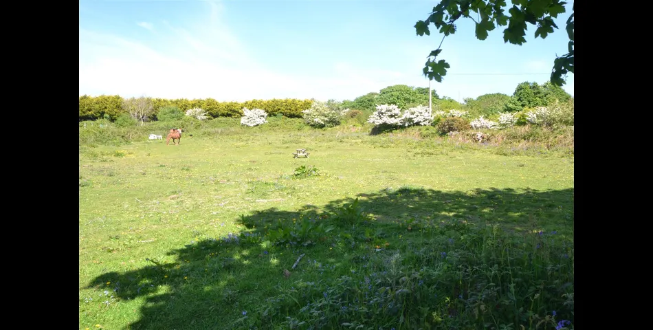Chapel Hill Farmhouse - Nr Camborne