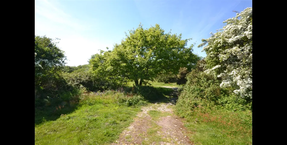 Chapel Hill Farmhouse - Nr Camborne