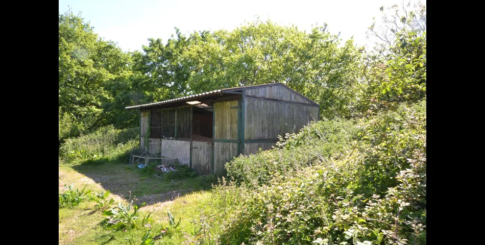 Chapel Hill Farmhouse - Nr Camborne