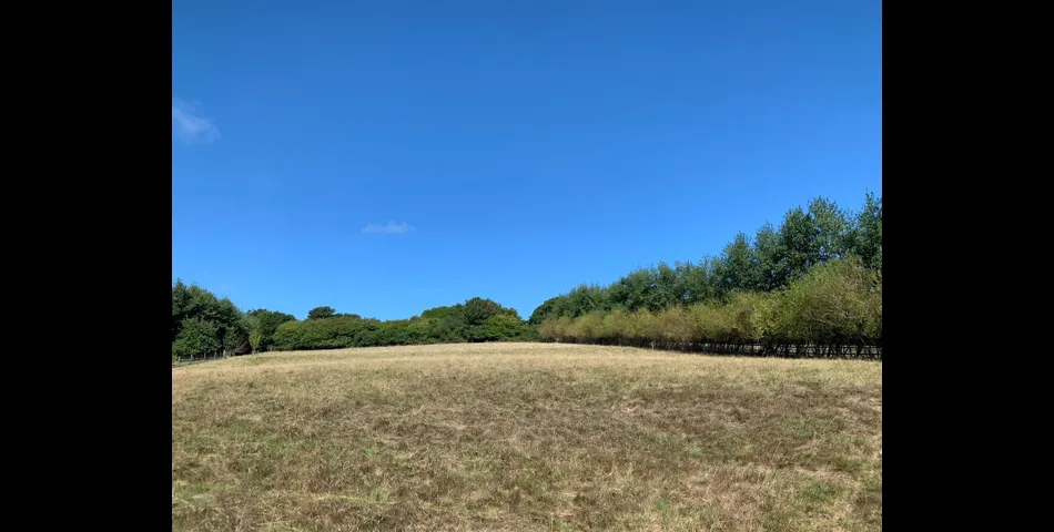 Land North of Simms Hill - Newton Abbot