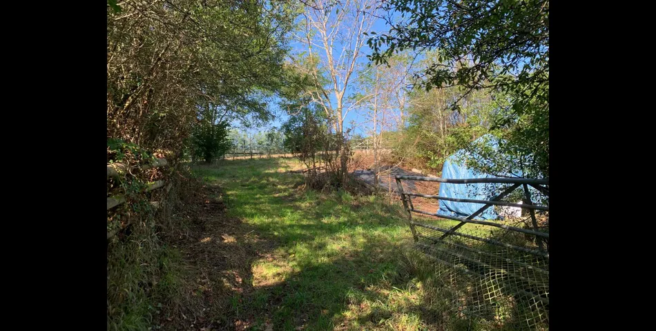 Land North of Simms Hill - Newton Abbot
