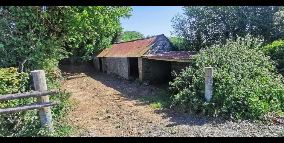 Willelsey Barn near Milton Abbot