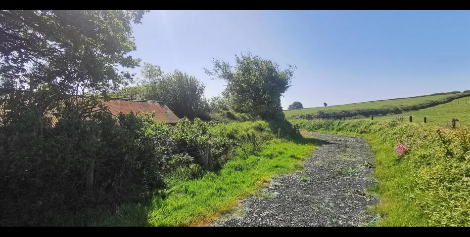 Willelsey Barn near Milton Abbot