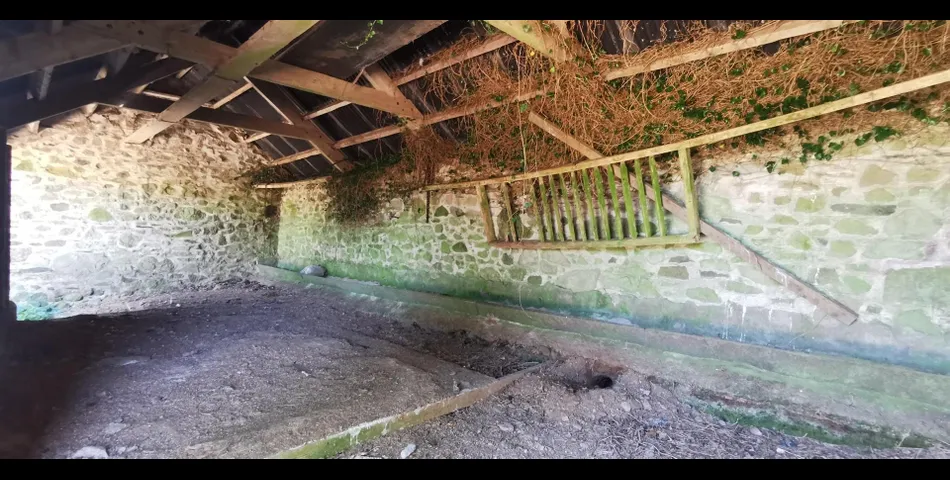 Willelsey Barn near Milton Abbot