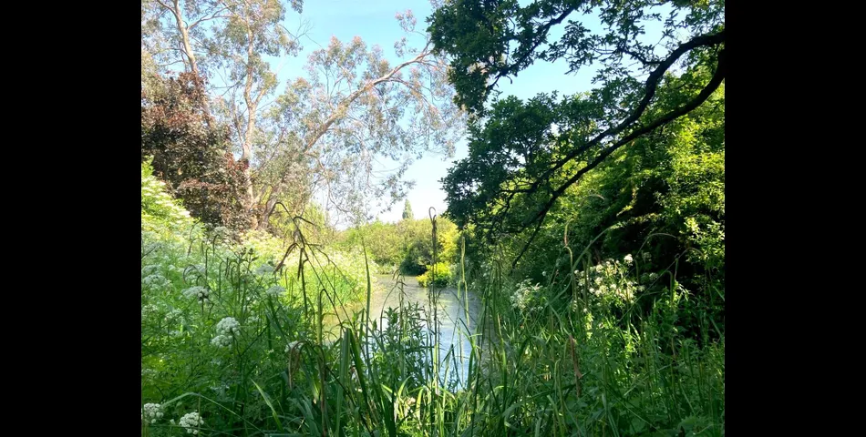 Archbrook Meadow - Combeinteignhead