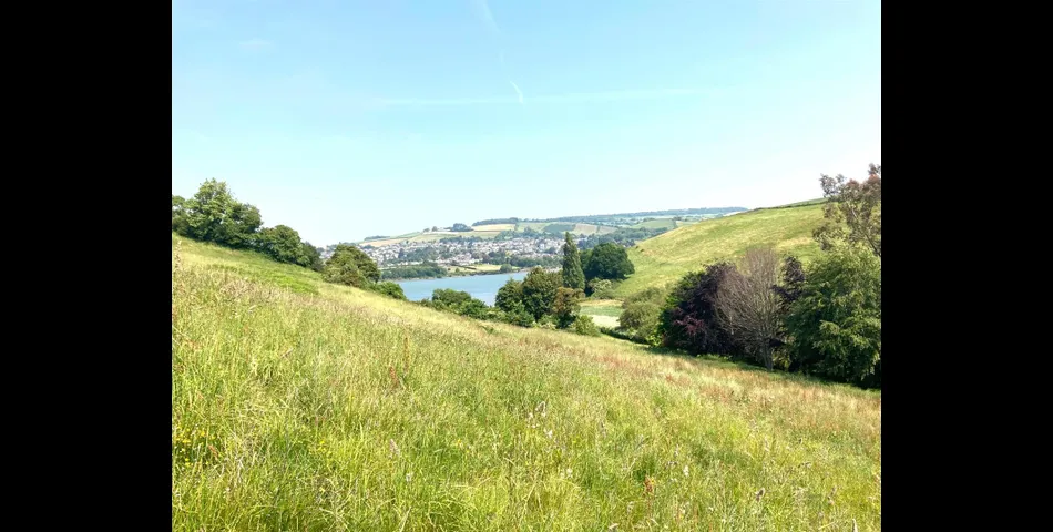 Archbrook Meadow - Combeinteignhead