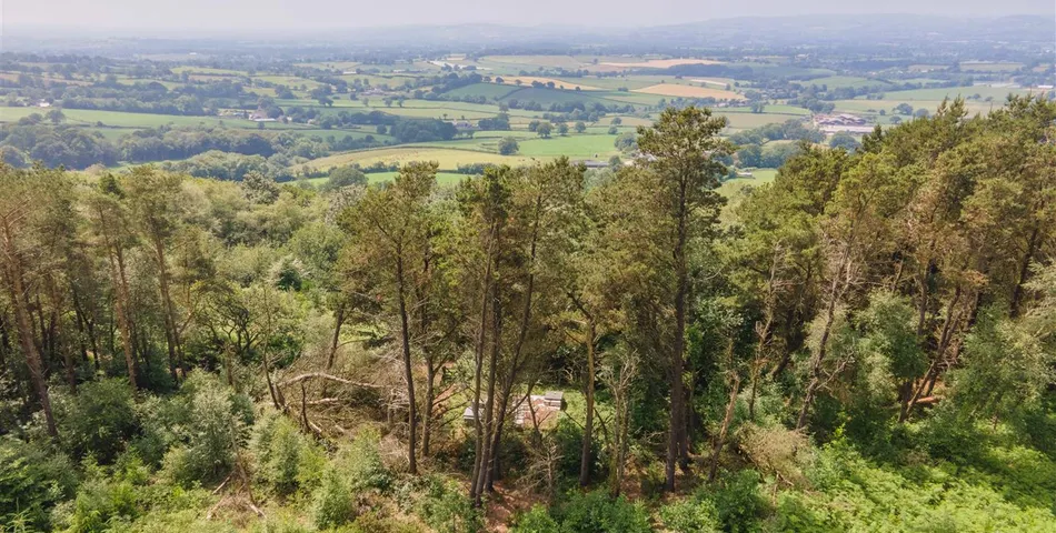 Reservoir at Blackborough 