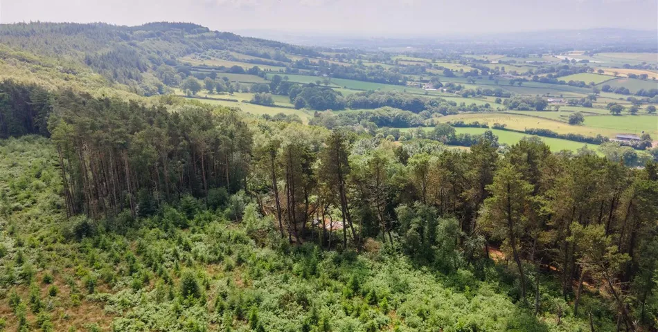 Reservoir at Blackborough 