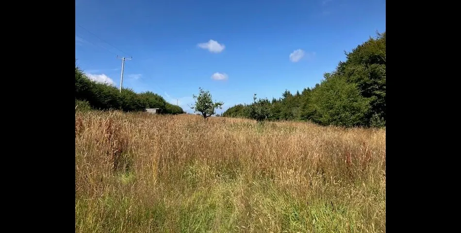 Land at Treborough - Nr Watchet 