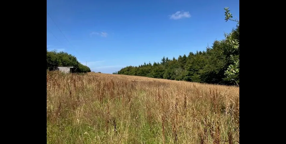 Land at Treborough - Nr Watchet 