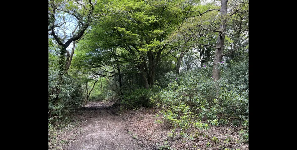 California Plantation, Truro - Lot 2 