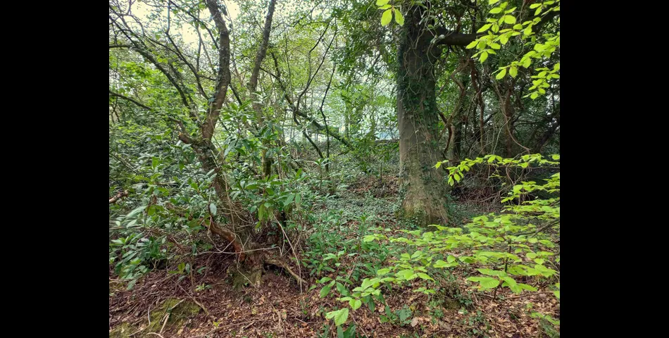 California Plantation, Truro - Lot 2 
