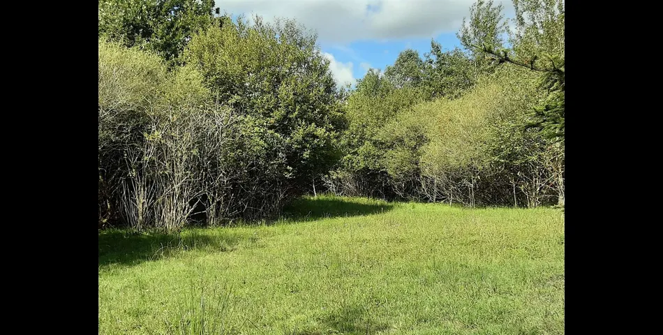 Property cover