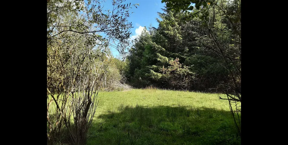 Woodland near Chilla