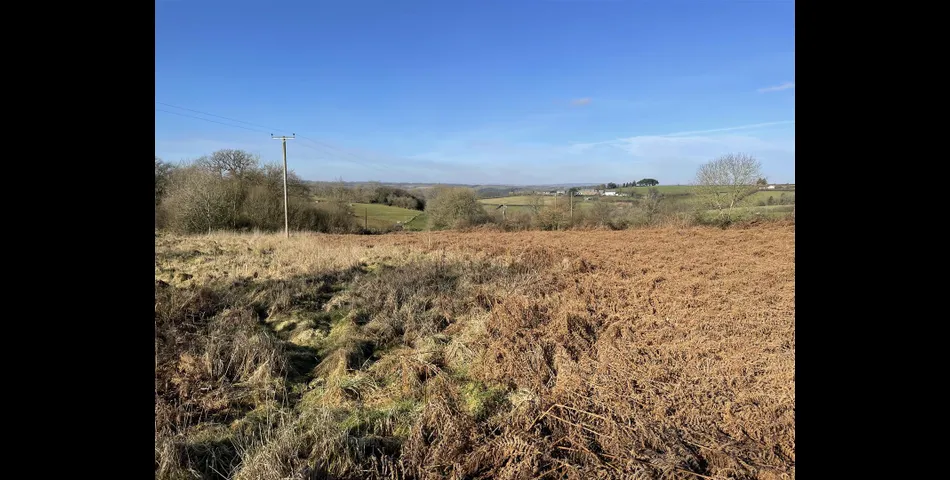 Land near Rull - Stoodleigh, Tiverton