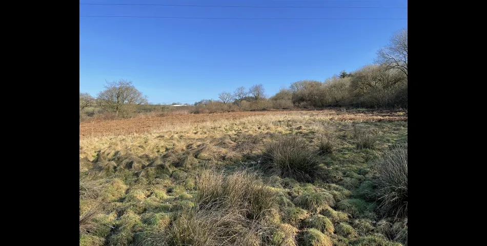 Land near Rull - Stoodleigh, Tiverton