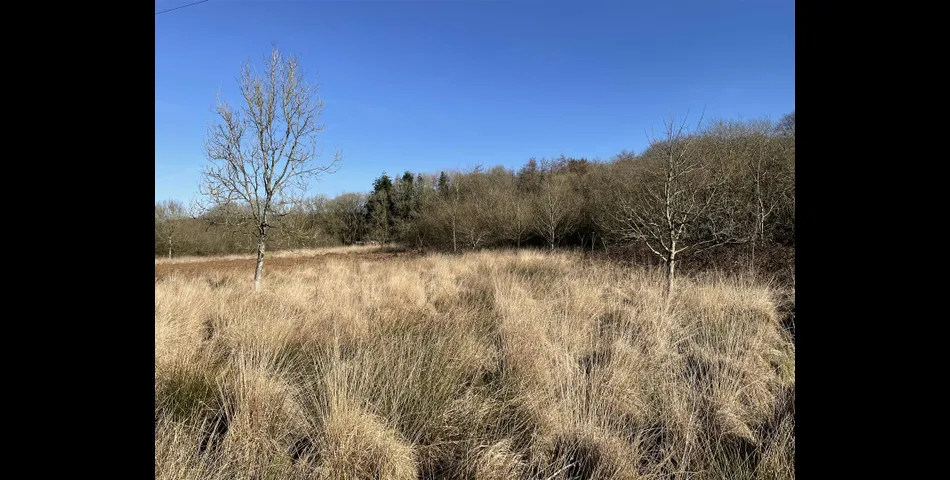 Land near Rull - Stoodleigh, Tiverton