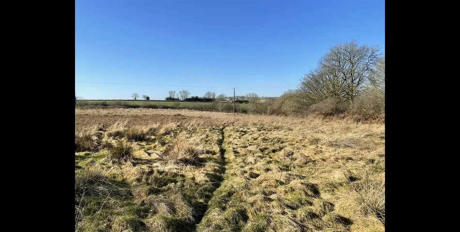 Land near Rull - Stoodleigh, Tiverton