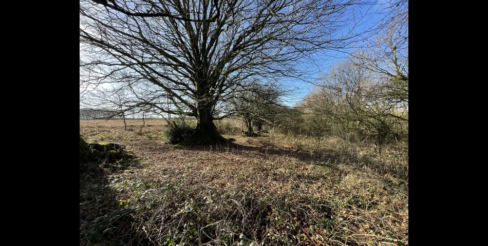 Land near Rull - Stoodleigh, Tiverton