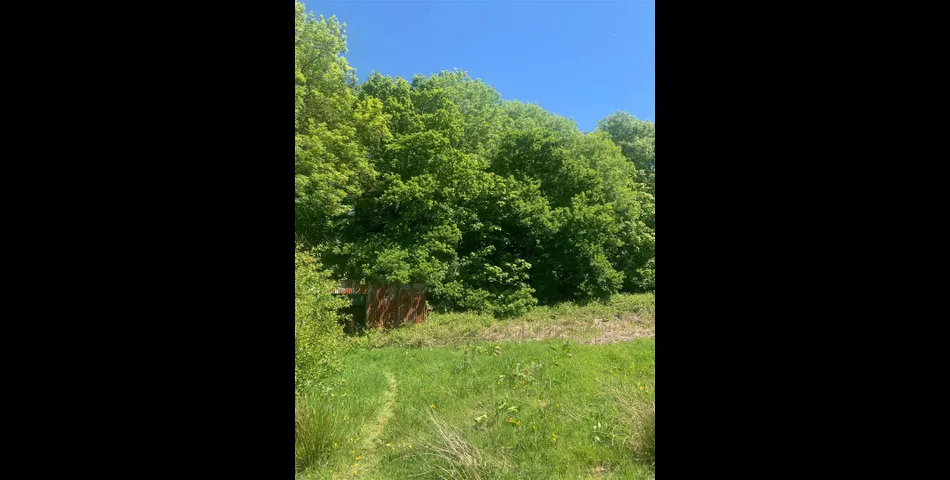 Land near Rull - Stoodleigh, Tiverton
