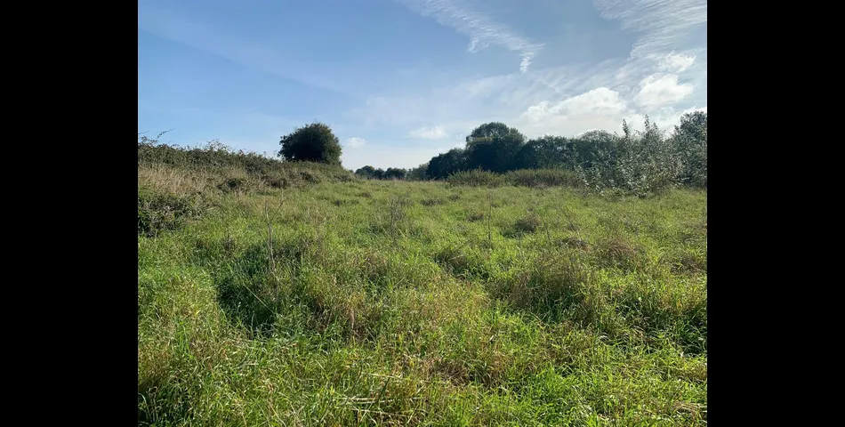 Land at Orchardleigh Spring Gardens - Frome