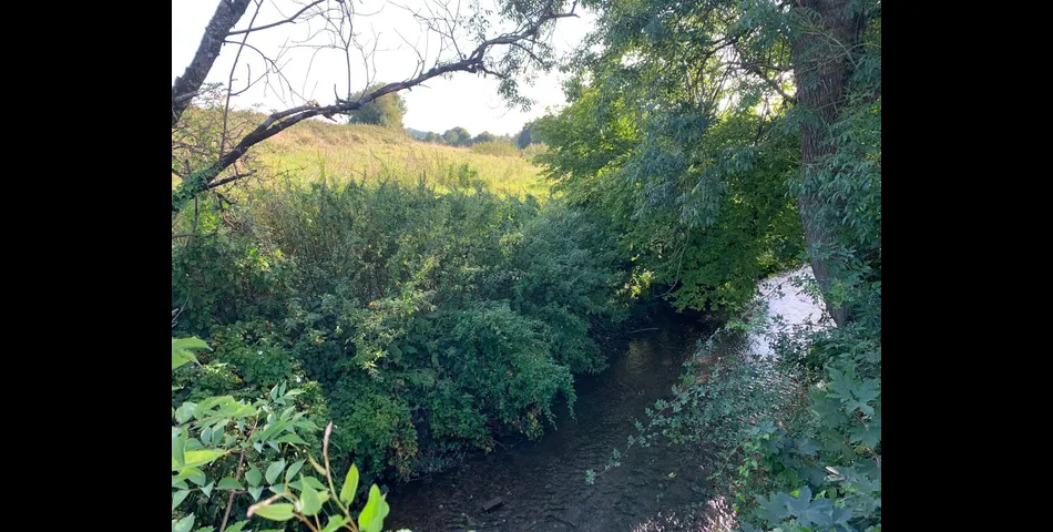 Land at Orchardleigh Spring Gardens - Frome