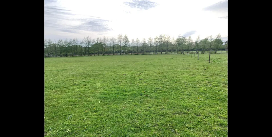 Land and Stables at Toadpit Lane  - West Hill