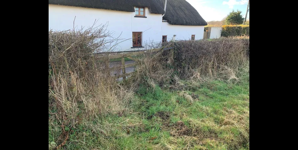 Land South of Parsonage Lane Lot 2 - Hittisleigh 