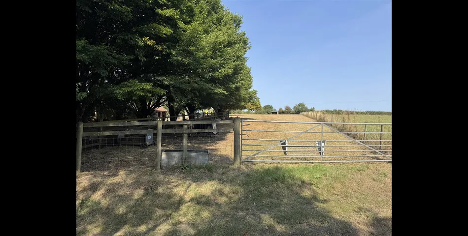 Paddock at Aller Cross - Nr Kentisbeare