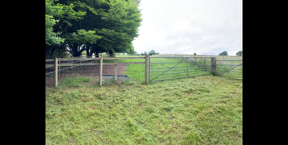 Paddock at Aller Cross - Nr Kentisbeare