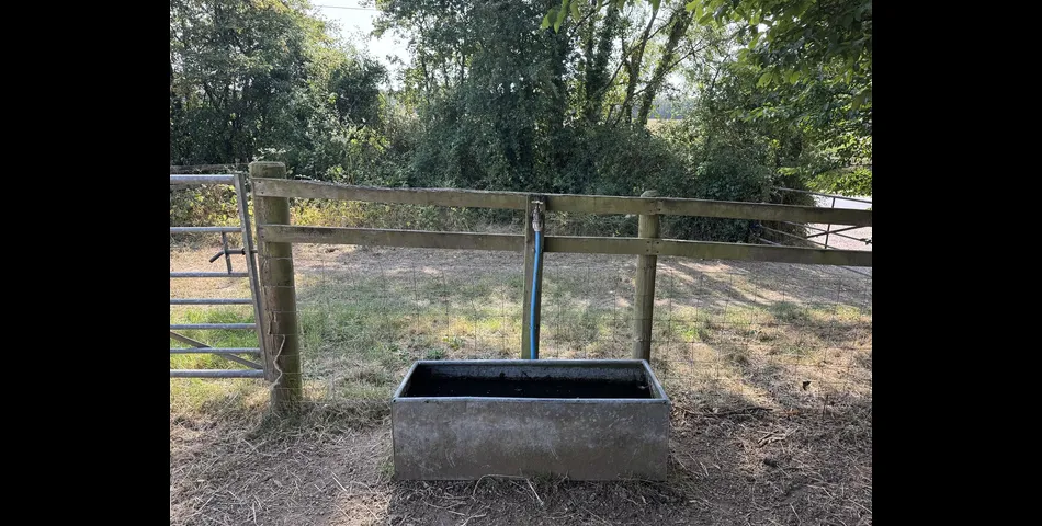 Paddock at Aller Cross - Nr Kentisbeare