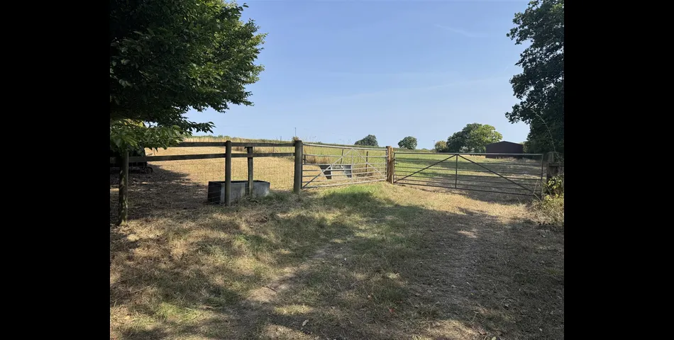Paddock at Aller Cross - Nr Kentisbeare