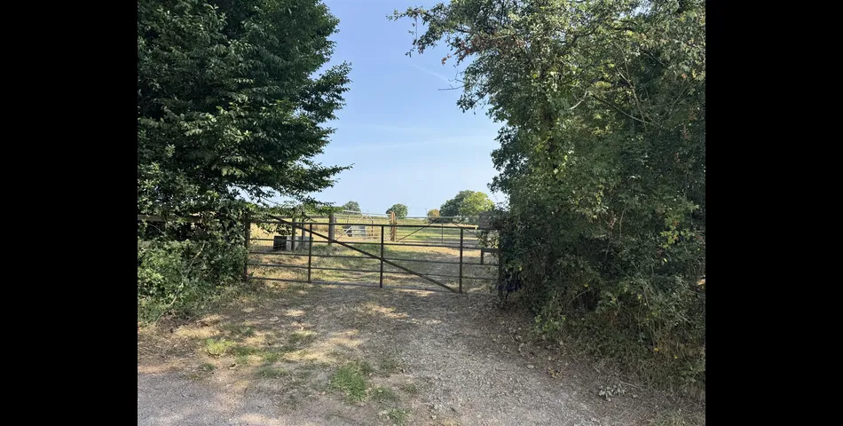 Paddock at Aller Cross - Nr Kentisbeare