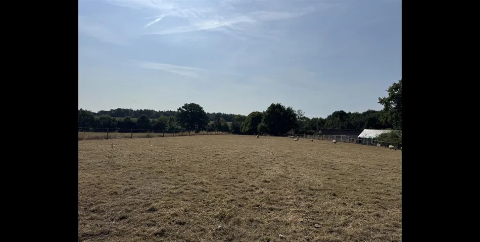 Paddock at Aller Cross - Nr Kentisbeare
