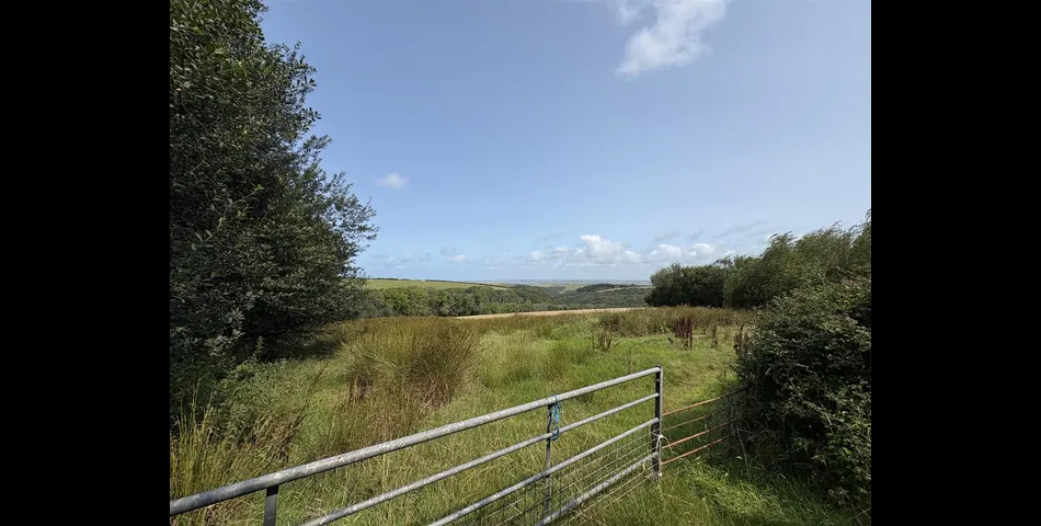 Trengayor Barn & Land - Nr Bude